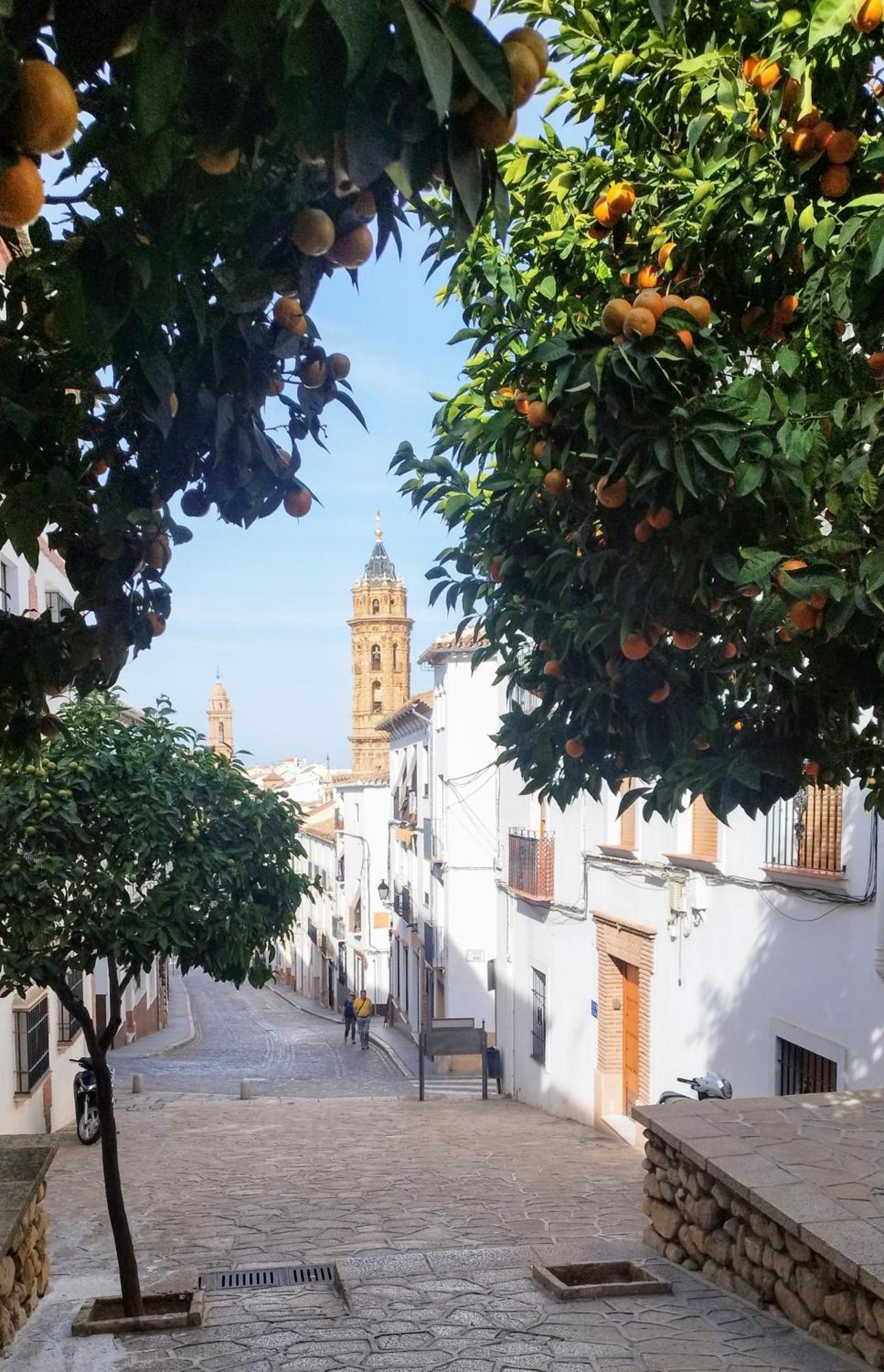 Apartamento Santa Clara Centro Antequera Eksteriør billede